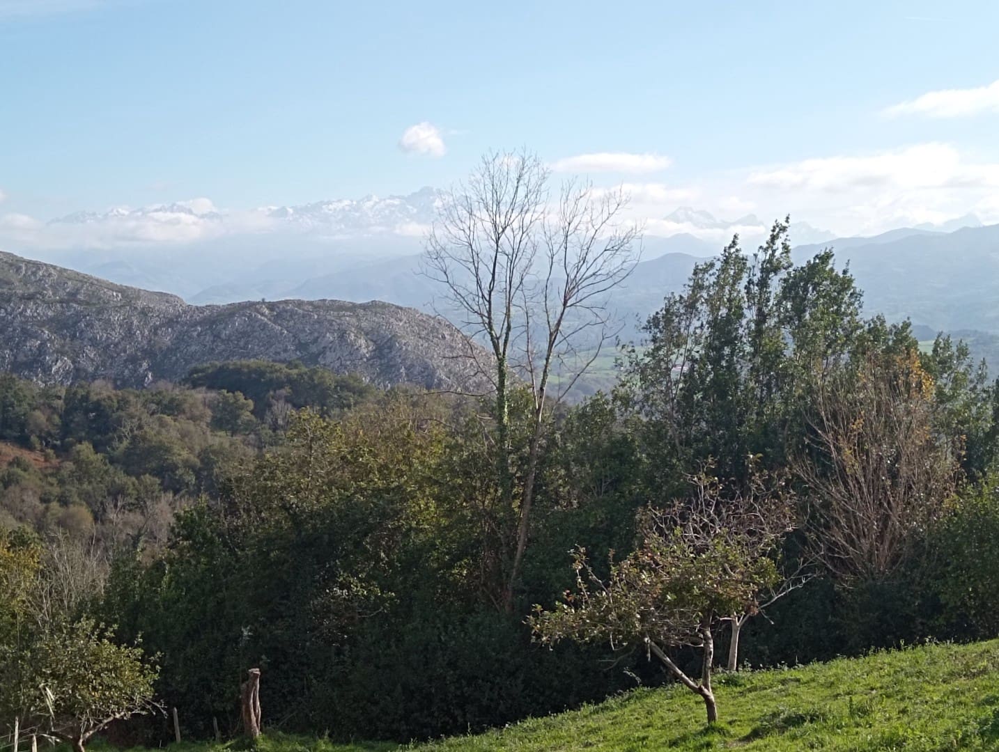 Mark till salu i Parres - 1 500 000 € (Ref: 9293861)