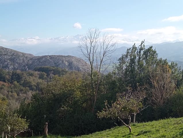 Undeveloped Land for sale in Parres - € 1,500,000 (Ref: 9293861)