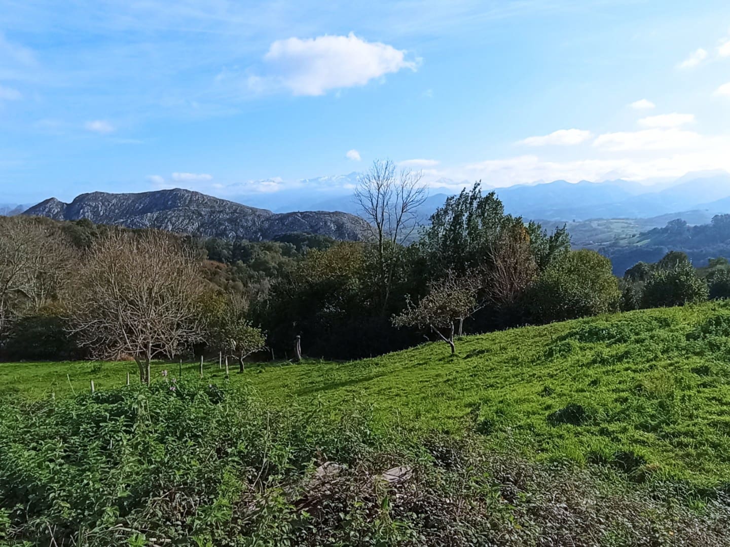 Mark till salu i Parres - 1 500 000 € (Ref: 9293861)