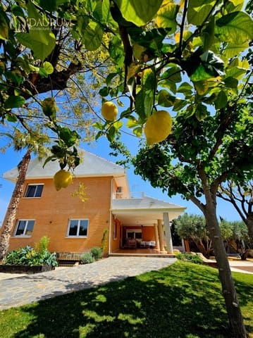 7 slaapkamer Villa te koop in San Vicente / Sant Vicent del Raspeig met zwembad garage - € 890.000 (Ref: 10127392)