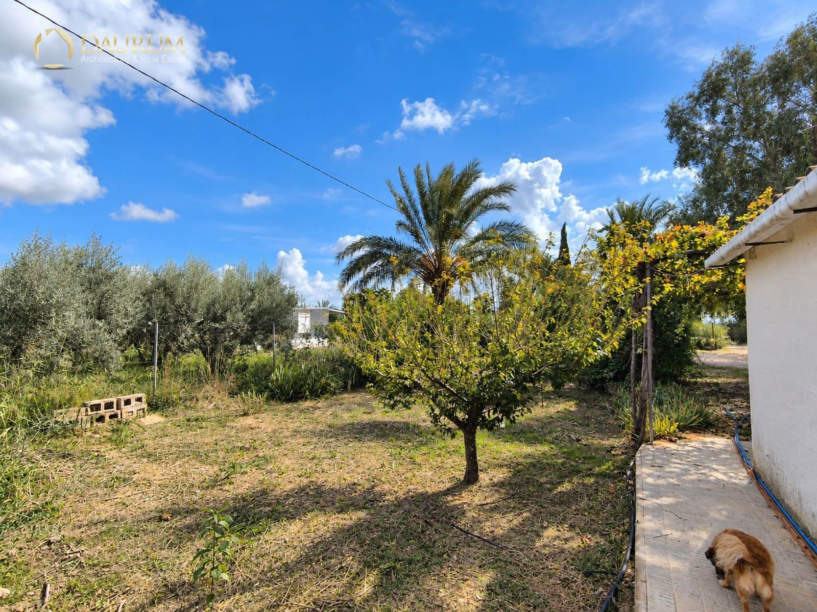 3 bedroom Villa for sale in Elche / Elx with pool garage - € 230,000 (Ref: 10165956)
