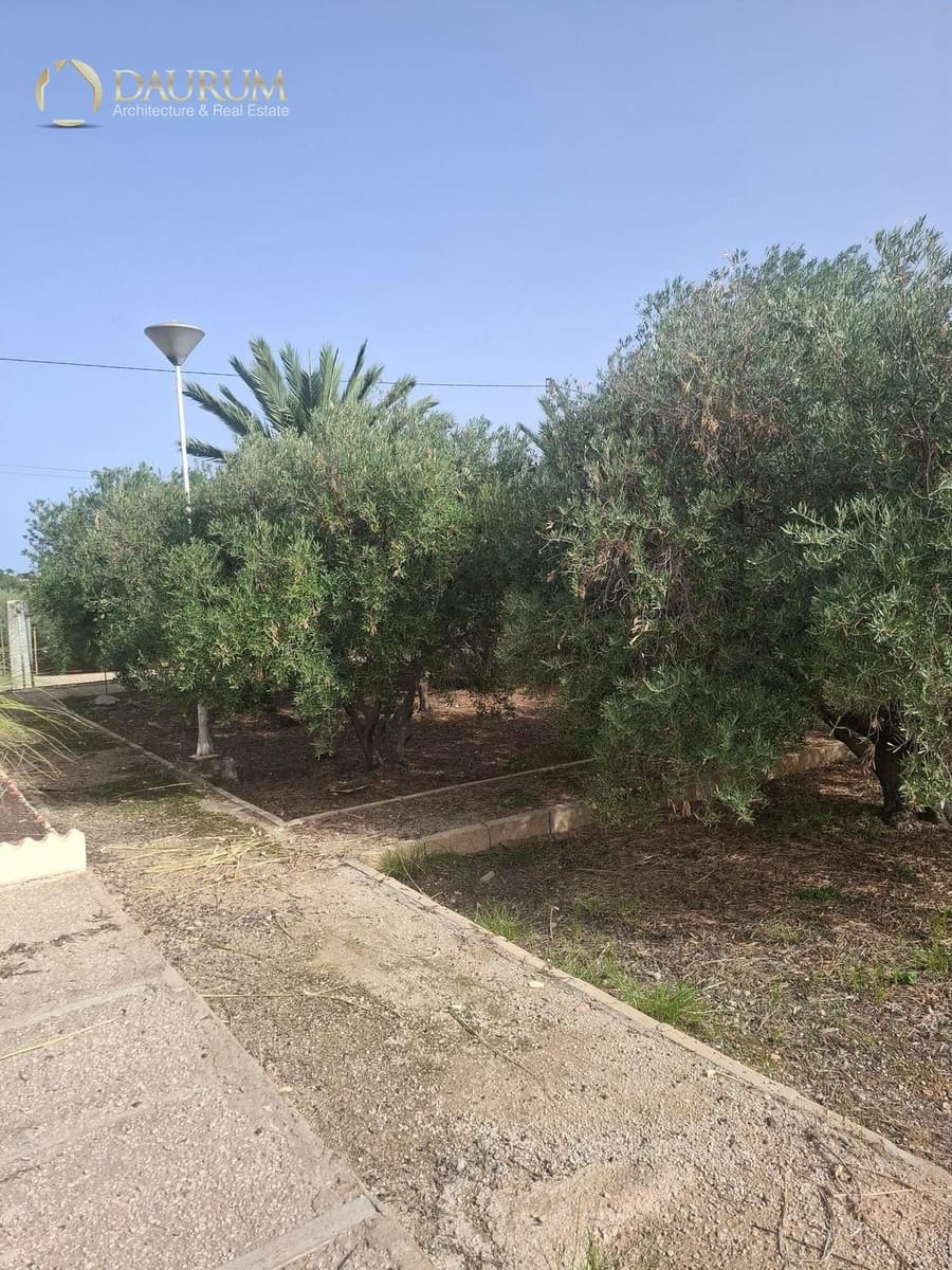 5 makuuhuone Huvila myytävänä paikassa Elche / Elx mukana uima-altaan 
autotalli - 290 000 € (Ref: 9345370)