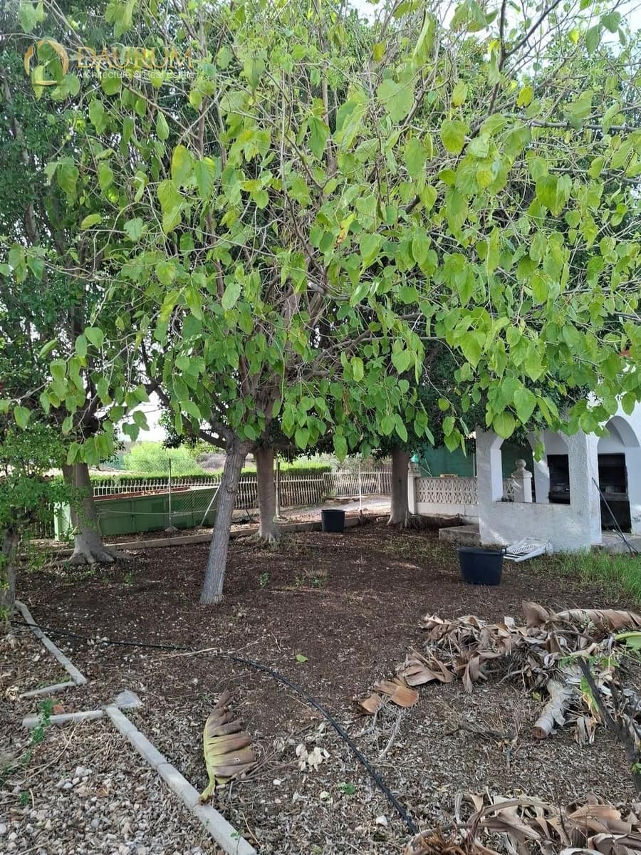 5 makuuhuone Huvila myytävänä paikassa Elche / Elx mukana uima-altaan 
autotalli - 290 000 € (Ref: 9345370)