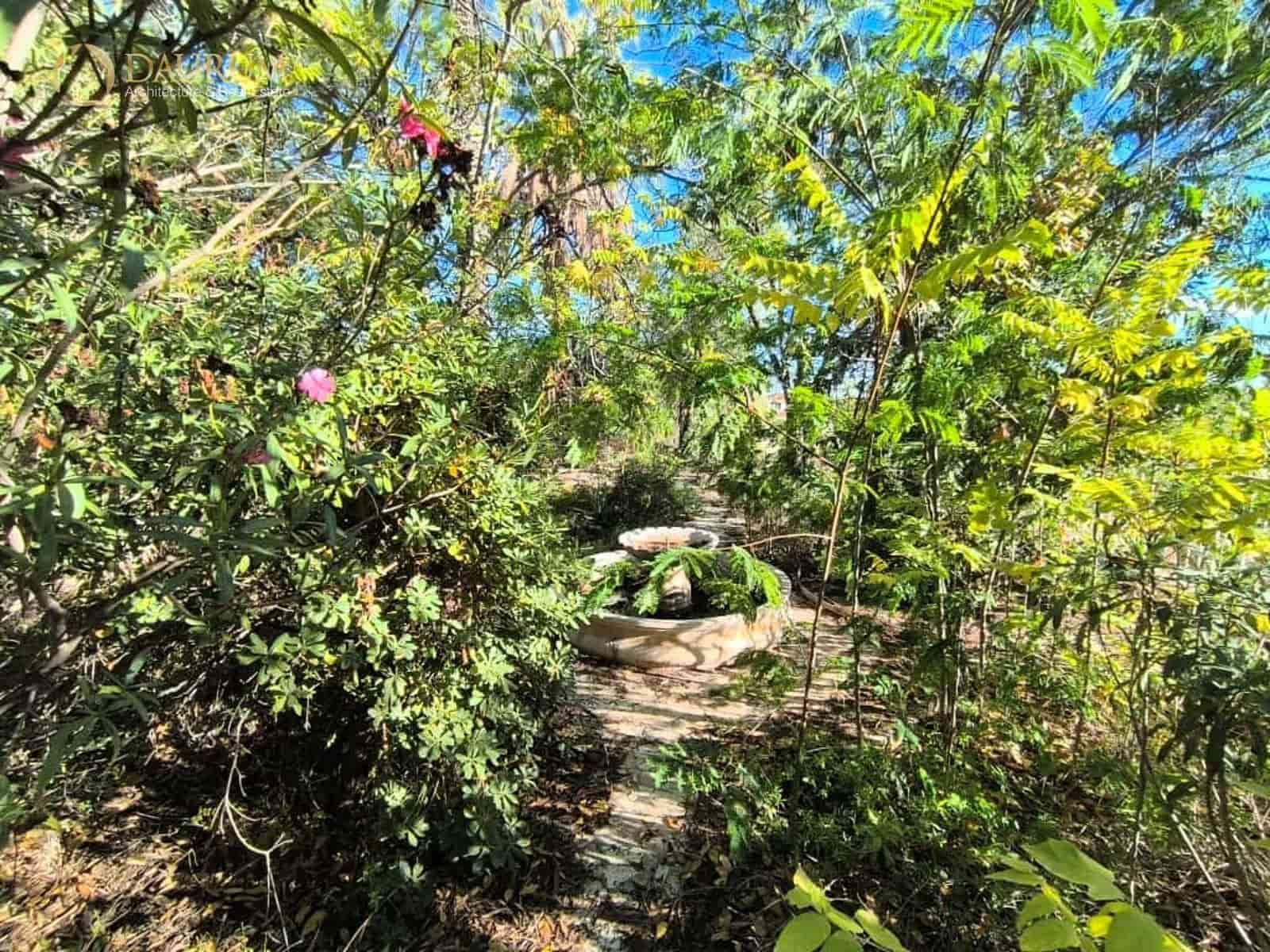 5 sypialnia Willa na sprzedaż w Crevillente / Crevillent z basenem garażem - 180 000 € (Ref: 9345375)