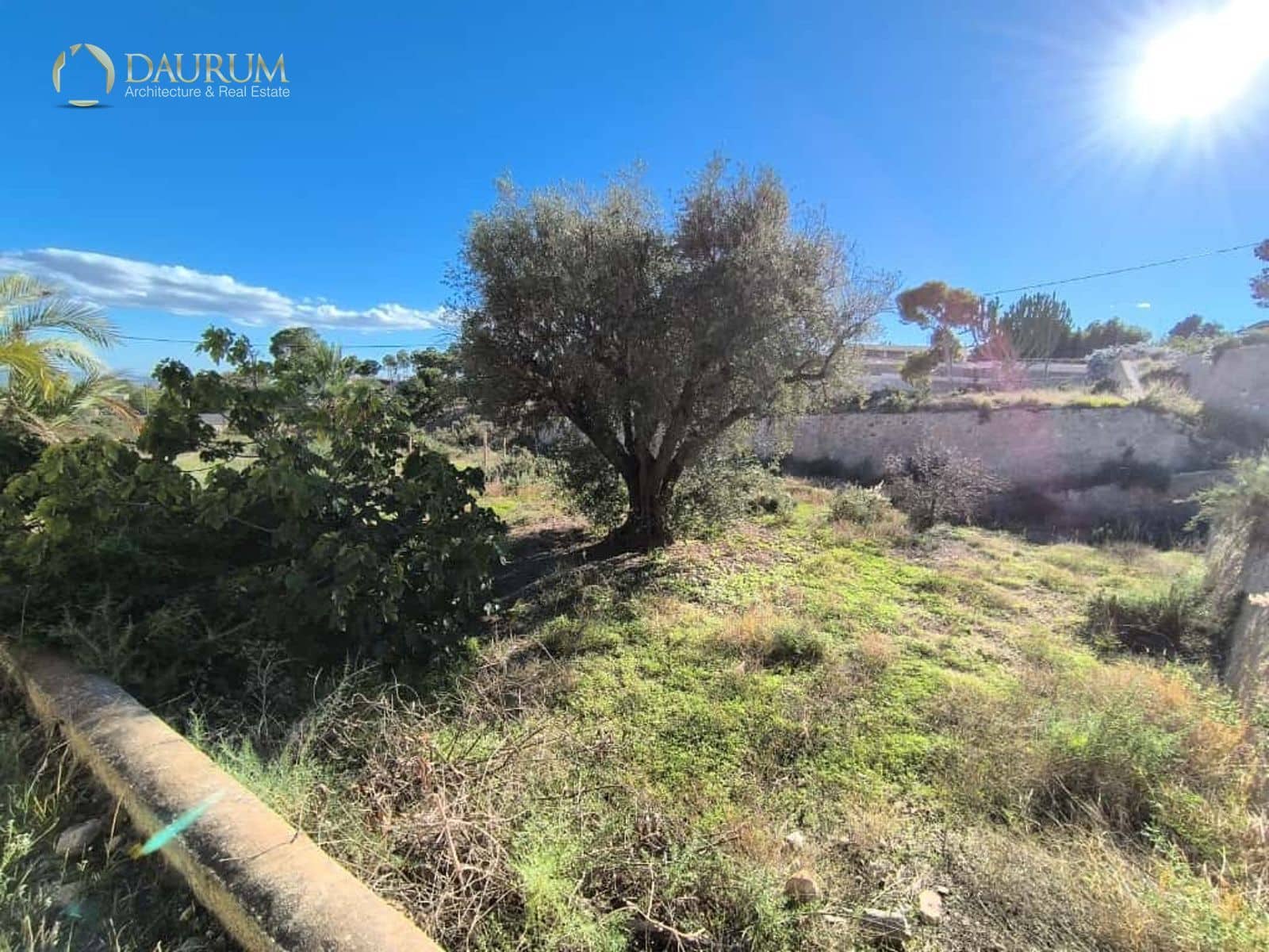 5 sypialnia Willa na sprzedaż w Crevillente / Crevillent z basenem garażem - 180 000 € (Ref: 9345375)