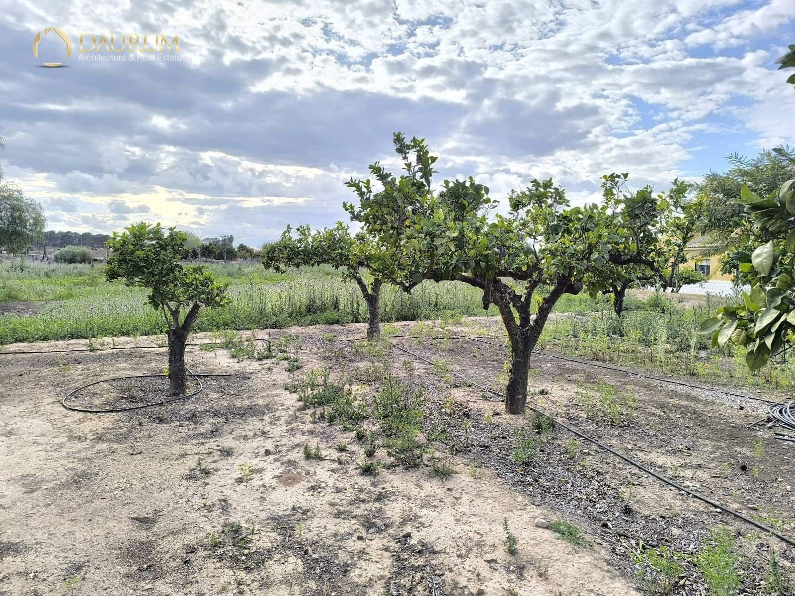 4 bedroom Villa for sale in La Marina with garage - € 320,000 (Ref: 9386469)