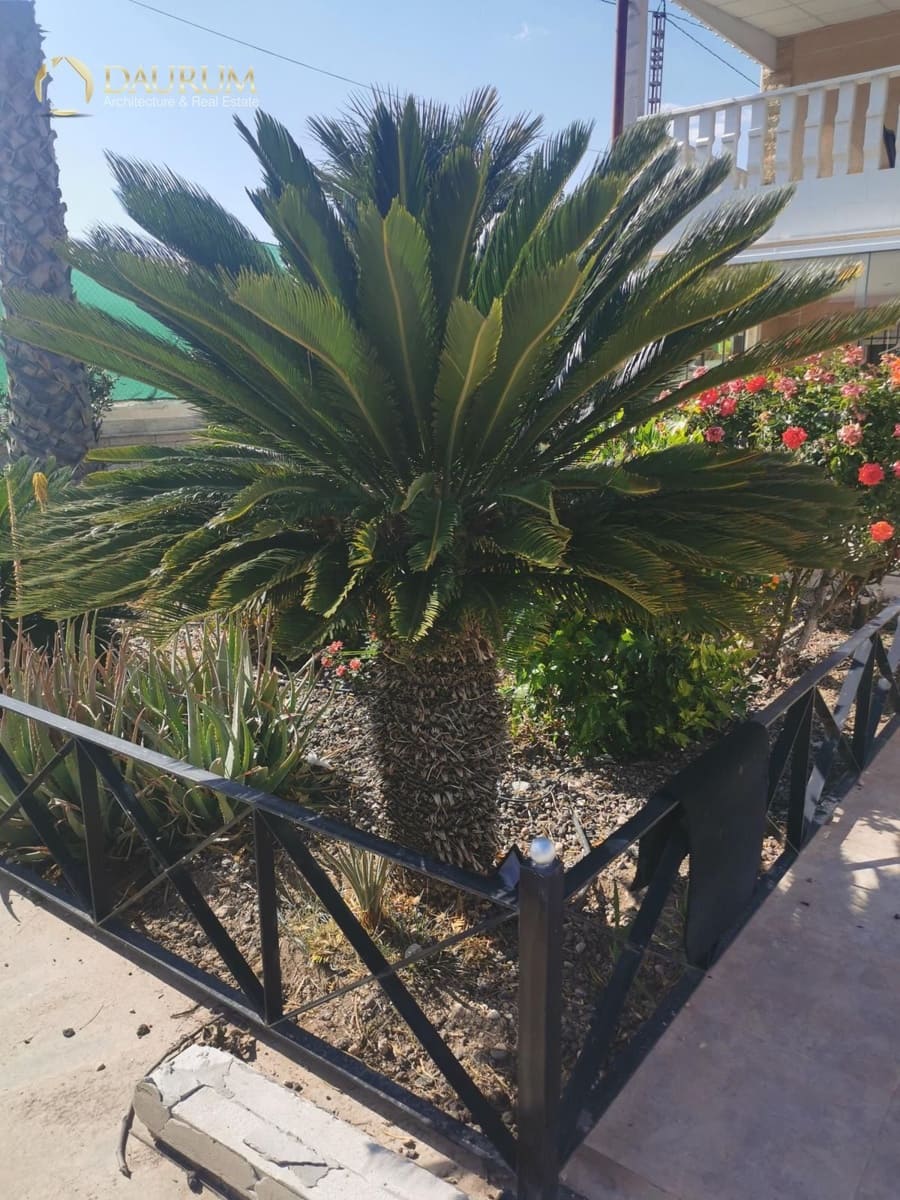 5 bedroom Villa for sale in Novelda with pool garage - € 425,000 (Ref: 9419482)