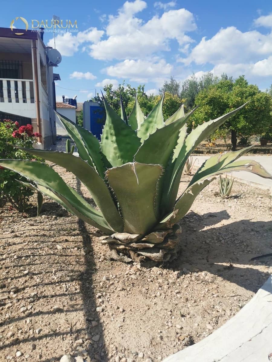 5 bedroom Villa for sale in Novelda with pool garage - € 425,000 (Ref: 9419482)