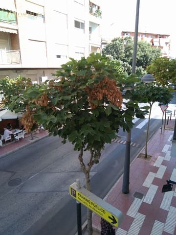 1 chambre Appartement à vendre à San Vicente / Sant Vicent del Raspeig - 125 000 € (Ref: 9466132)