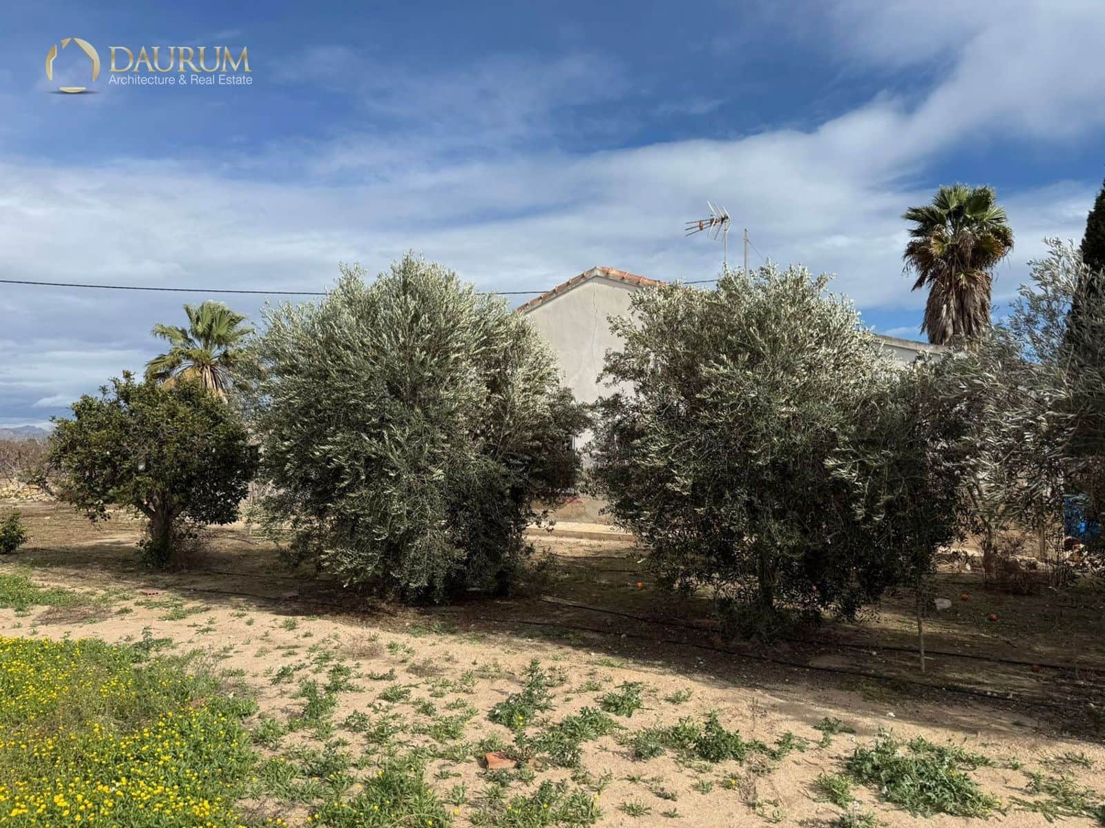 3 sypialnia Willa na sprzedaż w Elche / Elx z garażem - 389 000 € (Ref: 9559106)