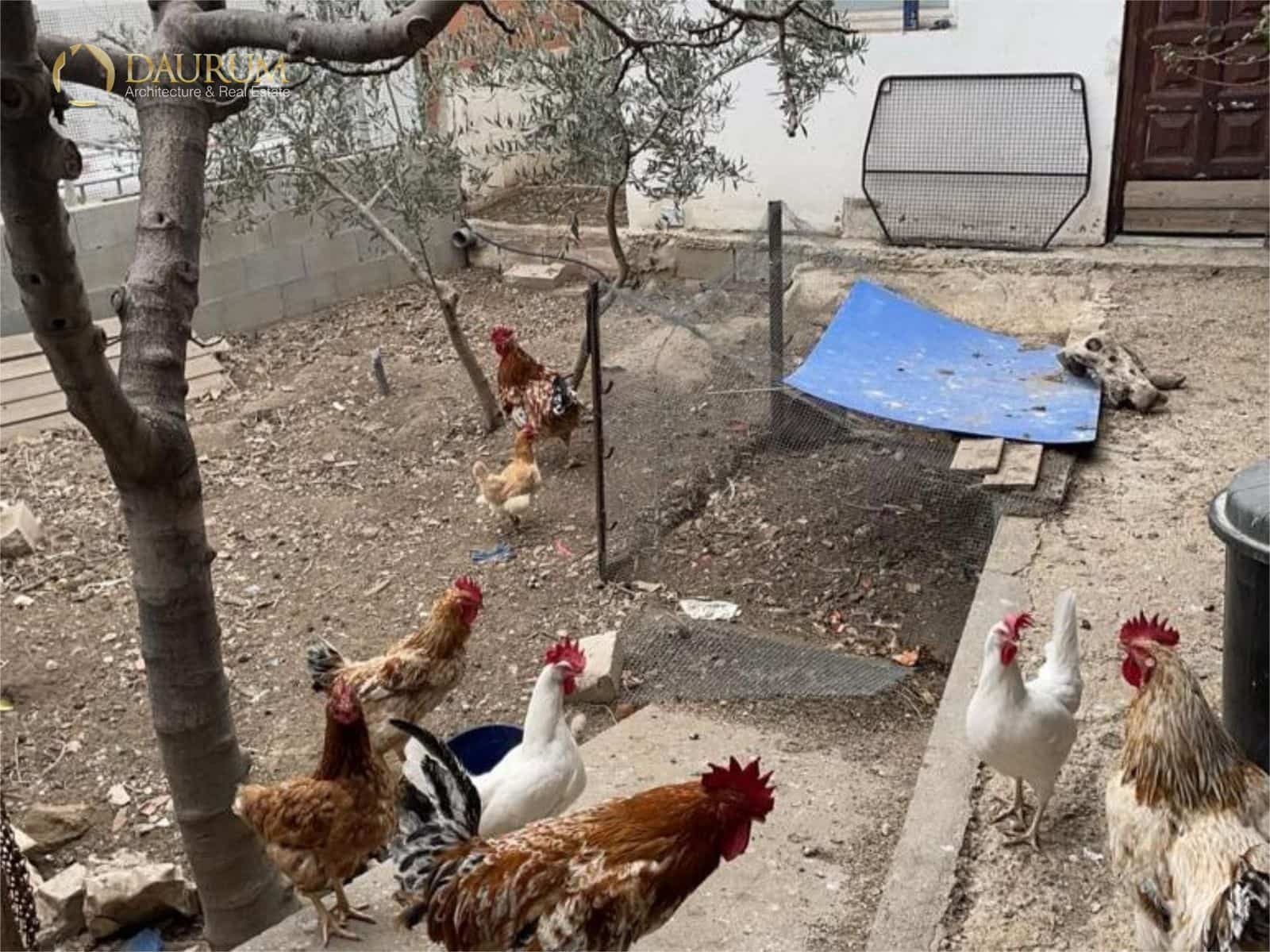 3 Zimmer Villa zu verkaufen in Alicante / Alacant Stadt mit Pool - 315.000 € (Ref: 9562269)