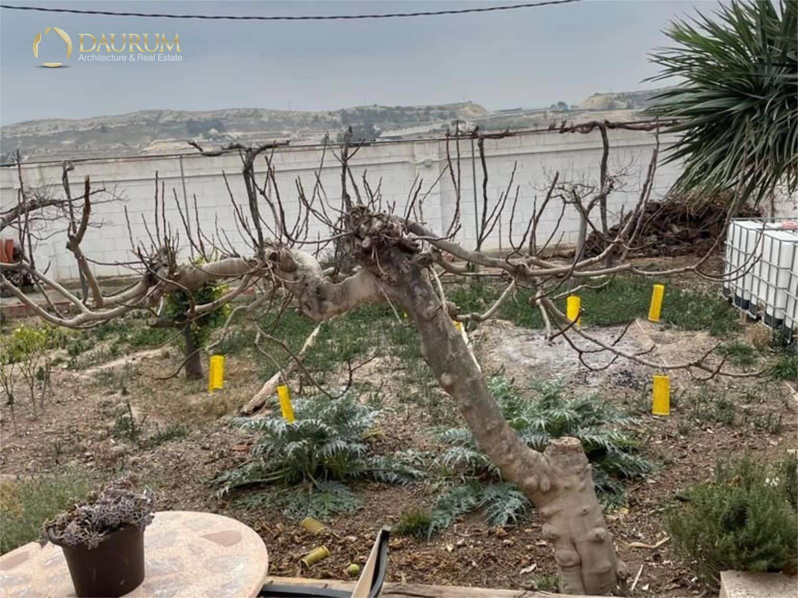 3 Zimmer Villa zu verkaufen in Alicante / Alacant Stadt mit Pool - 315.000 € (Ref: 9562269)