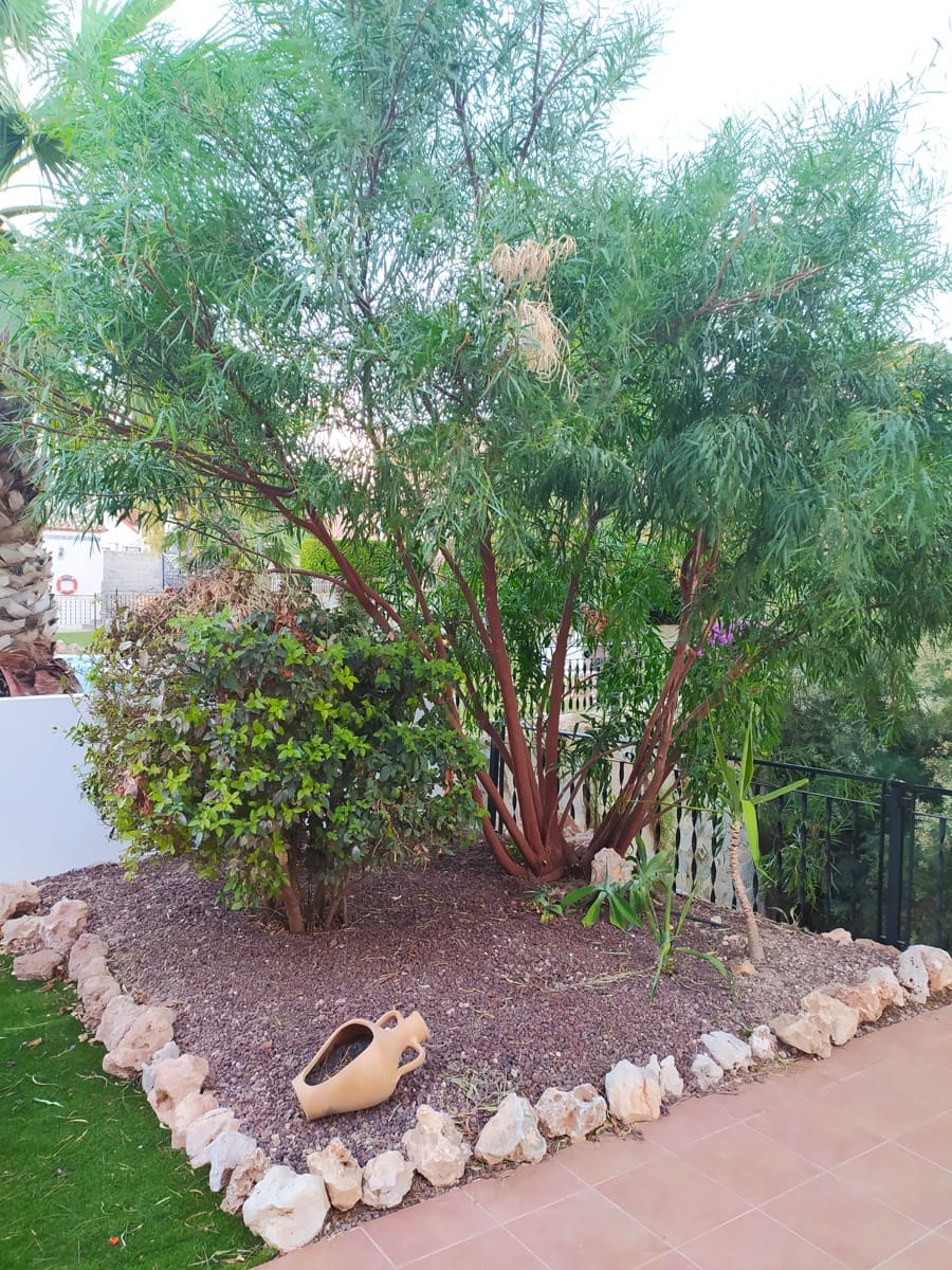 4 slaapkamer Huis te koop in San Miguel de Salinas met zwembad garage - € 450.000 (Ref: 8826790)