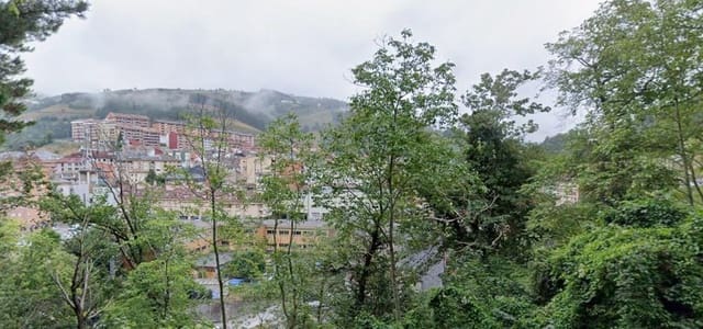 5 Zimmer Wohnung zu verkaufen in Cangas del Narcea - 56.800 € (Ref: 9533777)