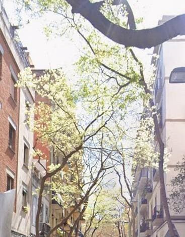 Comercial para venda em El Poble Sec, Barcelona cidade - 20 000 € (Ref: 9551564)