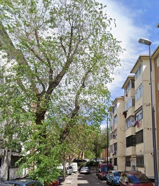 2 soverom Leilighet til salgs i Madrid by - € 84 000 (Ref: 9551583)