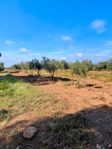 Maalaistalo myytävänä paikassa El Pla de Santa Maria - 75 000 € (Ref: 9324271)