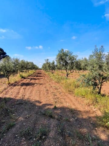 Maalaistalo myytävänä paikassa El Pla de Santa Maria - 75 000 € (Ref: 9324271)