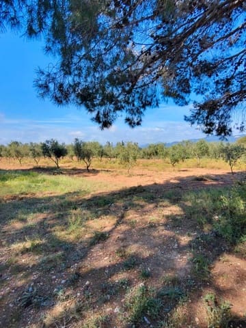 Maalaistalo myytävänä paikassa El Pla de Santa Maria - 75 000 € (Ref: 9324271)