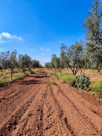 Maalaistalo myytävänä paikassa El Pla de Santa Maria - 75 000 € (Ref: 9324271)