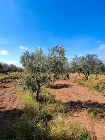 Maalaistalo myytävänä paikassa El Pla de Santa Maria - 75 000 € (Ref: 9324271)