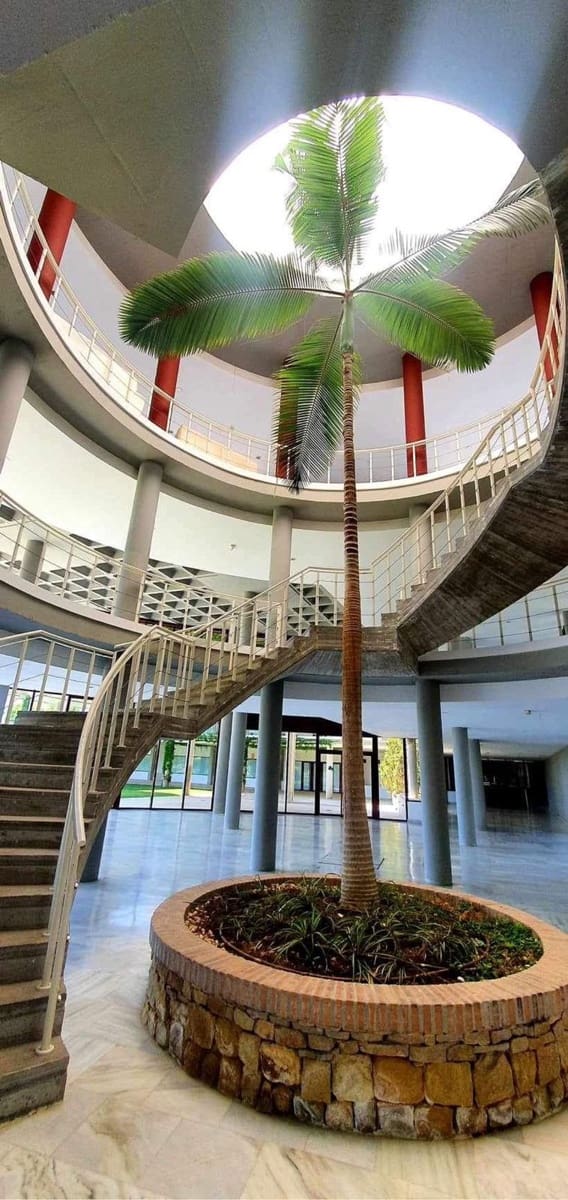 Appartement de 1 chambre à louer à Benahavis avec piscine garage - 1 200 € (Ref: 9920968)