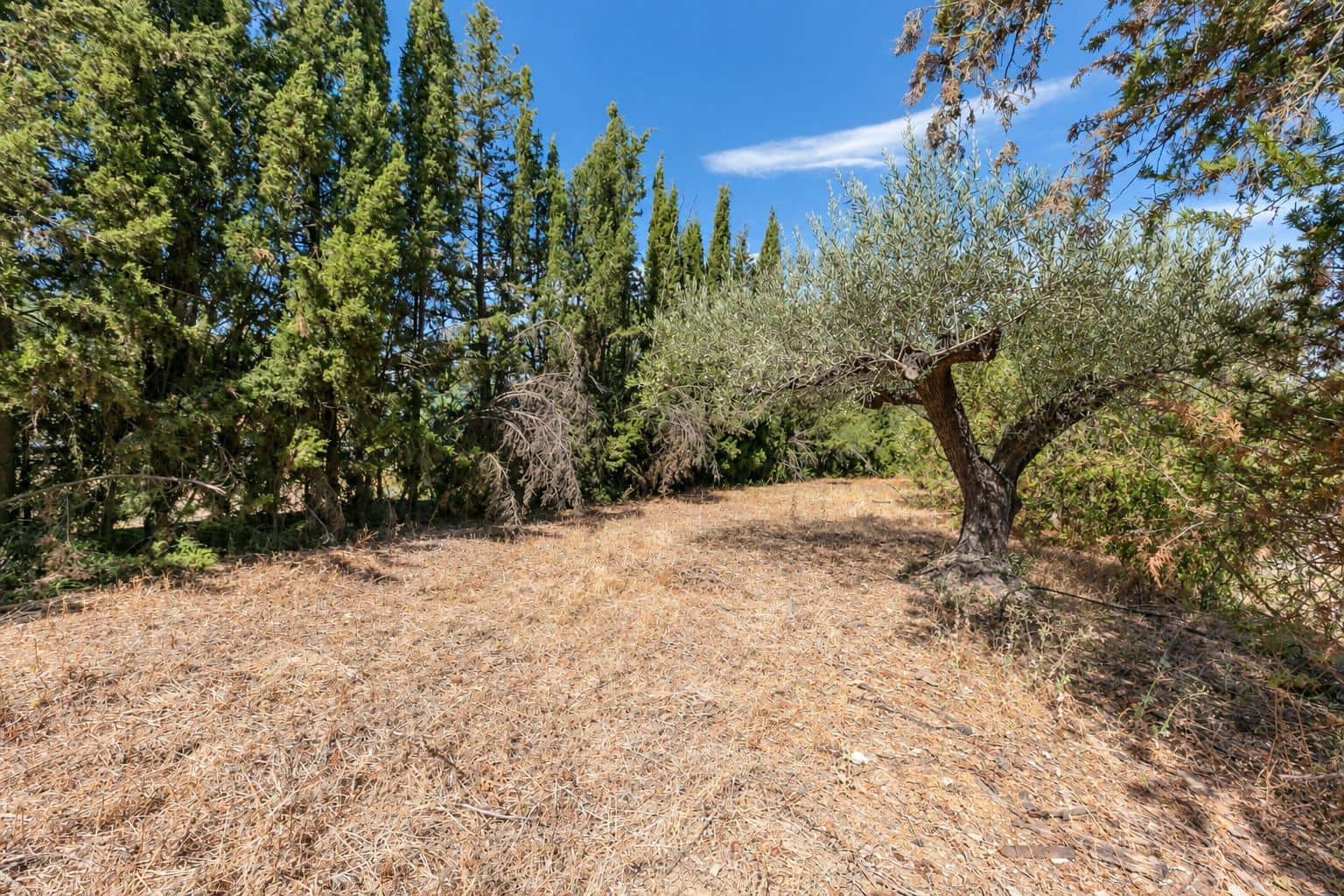 5 camera da letto Finca/Casa di Campagna in vendita in Alhaurin el Grande con piscina garage - 799.000 € (Rif: 10094718)