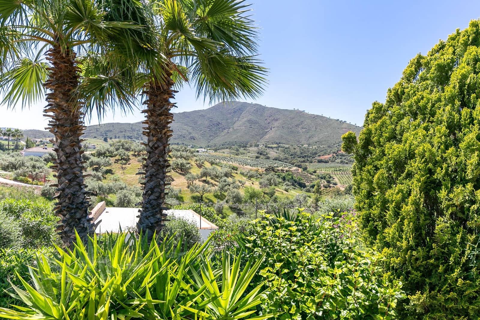 6 soveværelse Finca/Landehus til salg i Entrerrios med swimmingpool garage - € 1.195.000 (Ref: 9200455)