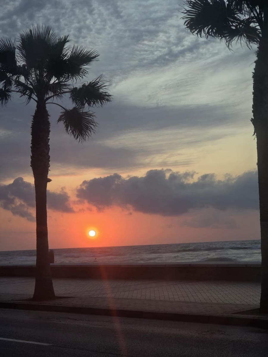 2 Zimmer Wohnung zu verkaufen in Fuengirola - 520.000 € (Ref: 9711965)