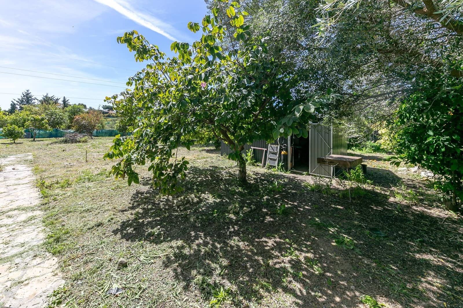 10 bedroom Finca/Country House for sale in El Padron with pool - € 750,000 (Ref: 9738564)