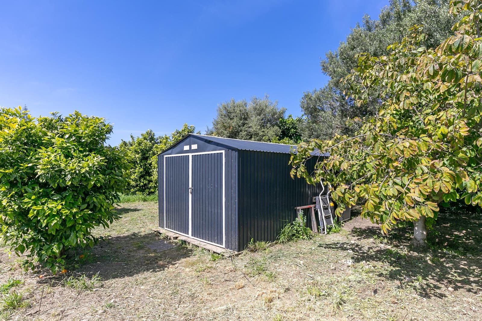 10 bedroom Finca/Country House for sale in El Padron with pool - € 750,000 (Ref: 9738564)