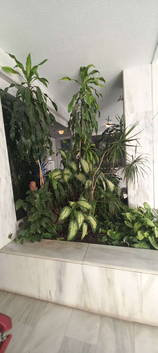 3 chambre Appartement de Plage à vendre à Fuengirola avec piscine - 620 000 € (Ref: 9562452)