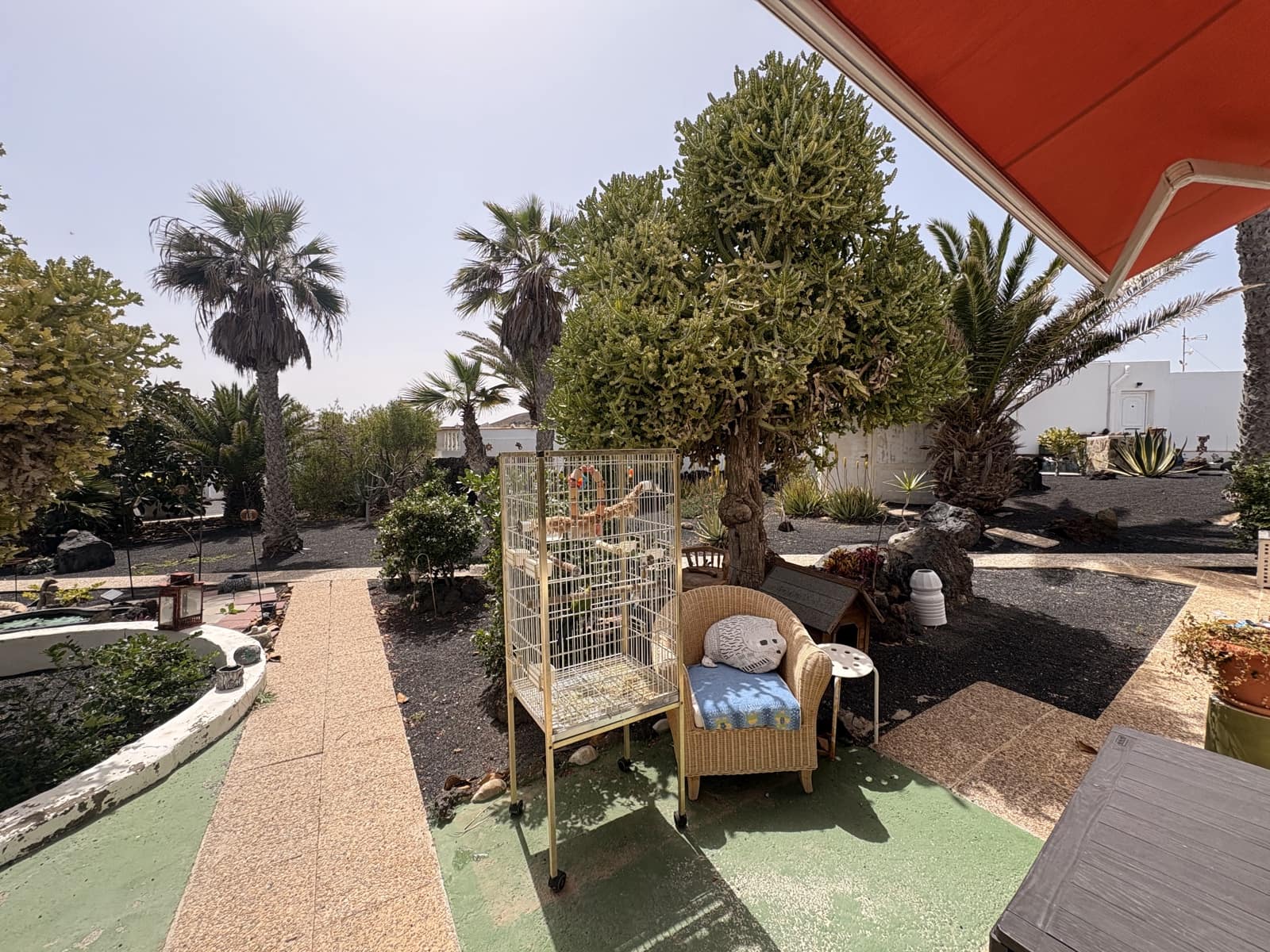 1 sypialnia Mieszkanie na sprzedaż w Charco del Palo - 196 000 € (Ref: 9735916)