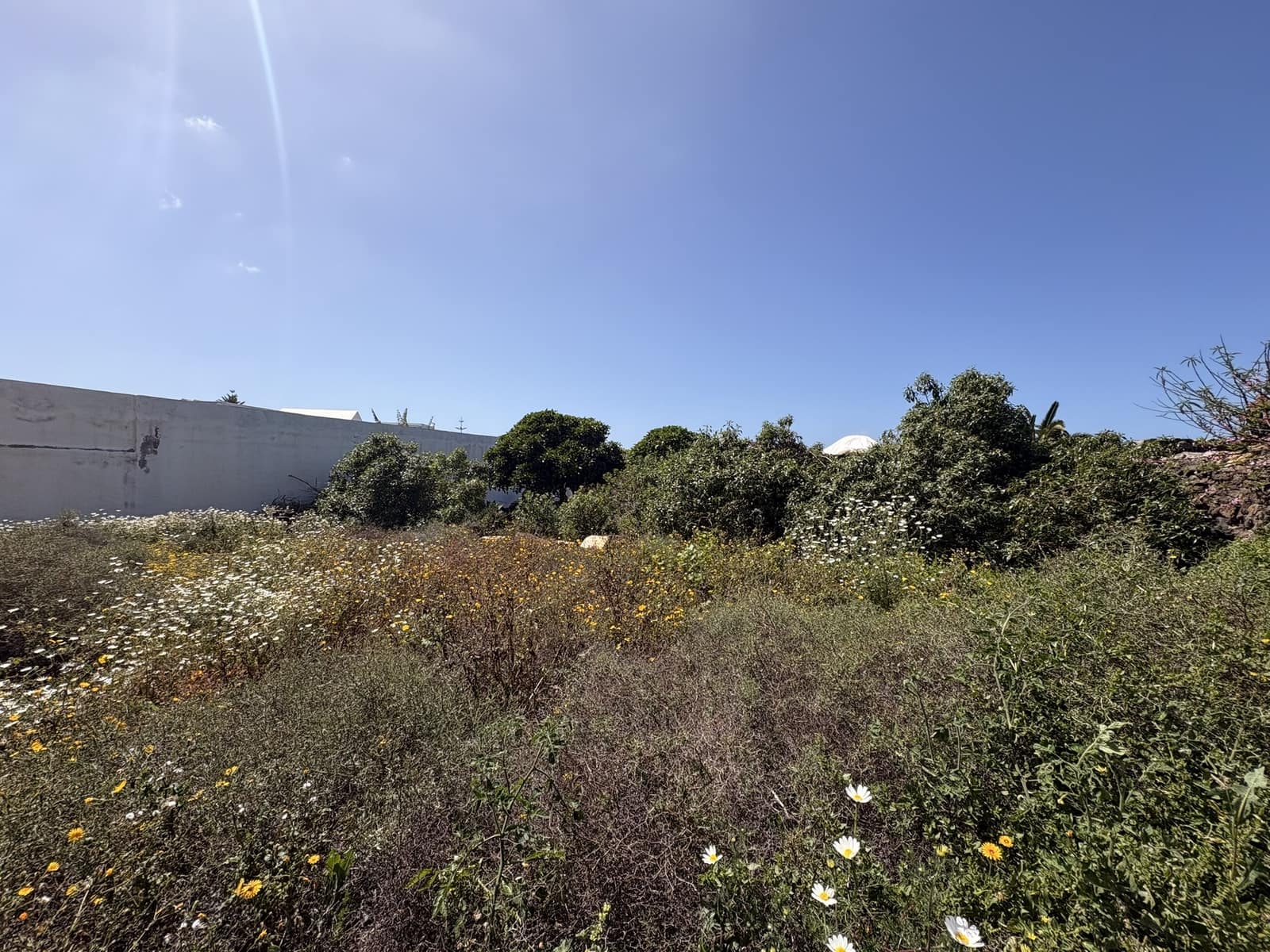 Building Plot for sale in Tinajo - € 79,000 (Ref: 9745202)