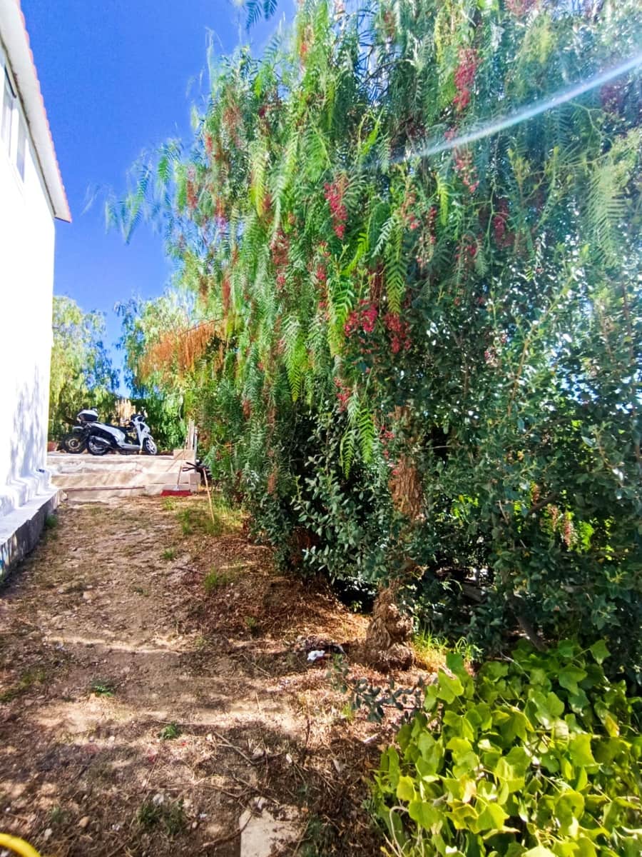 2 Zimmer Villa zu verkaufen in Blanes mit Pool Garage - 330.000 € (Ref: 10104363)