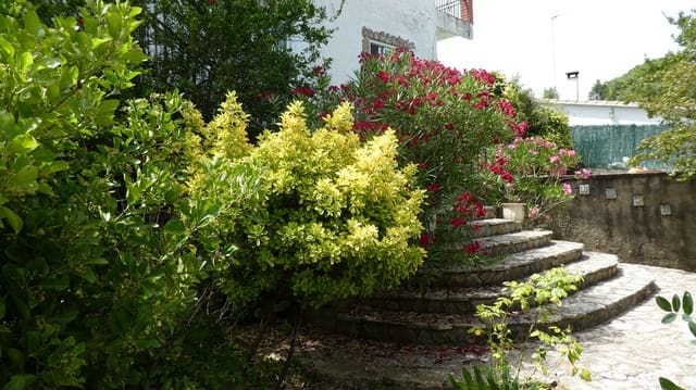 3 soveværelse Villa til salg i Blanes med swimmingpool garage - € 295.000 (Ref: 7699006)