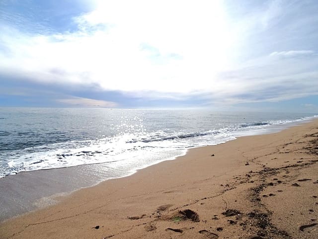 2 chambre Appartement à vendre à Blanes avec piscine - 255 000 € (Ref: 9699921)