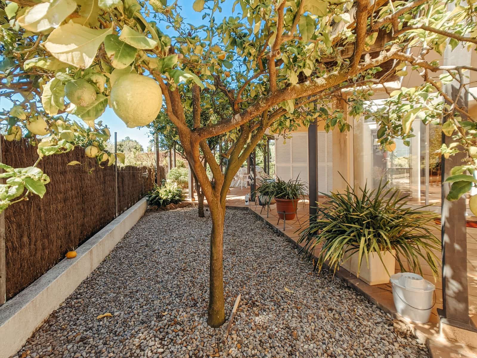 7 quarto Moradia para venda em Blanes com piscina garagem - 749 000 € (Ref: 9805258)