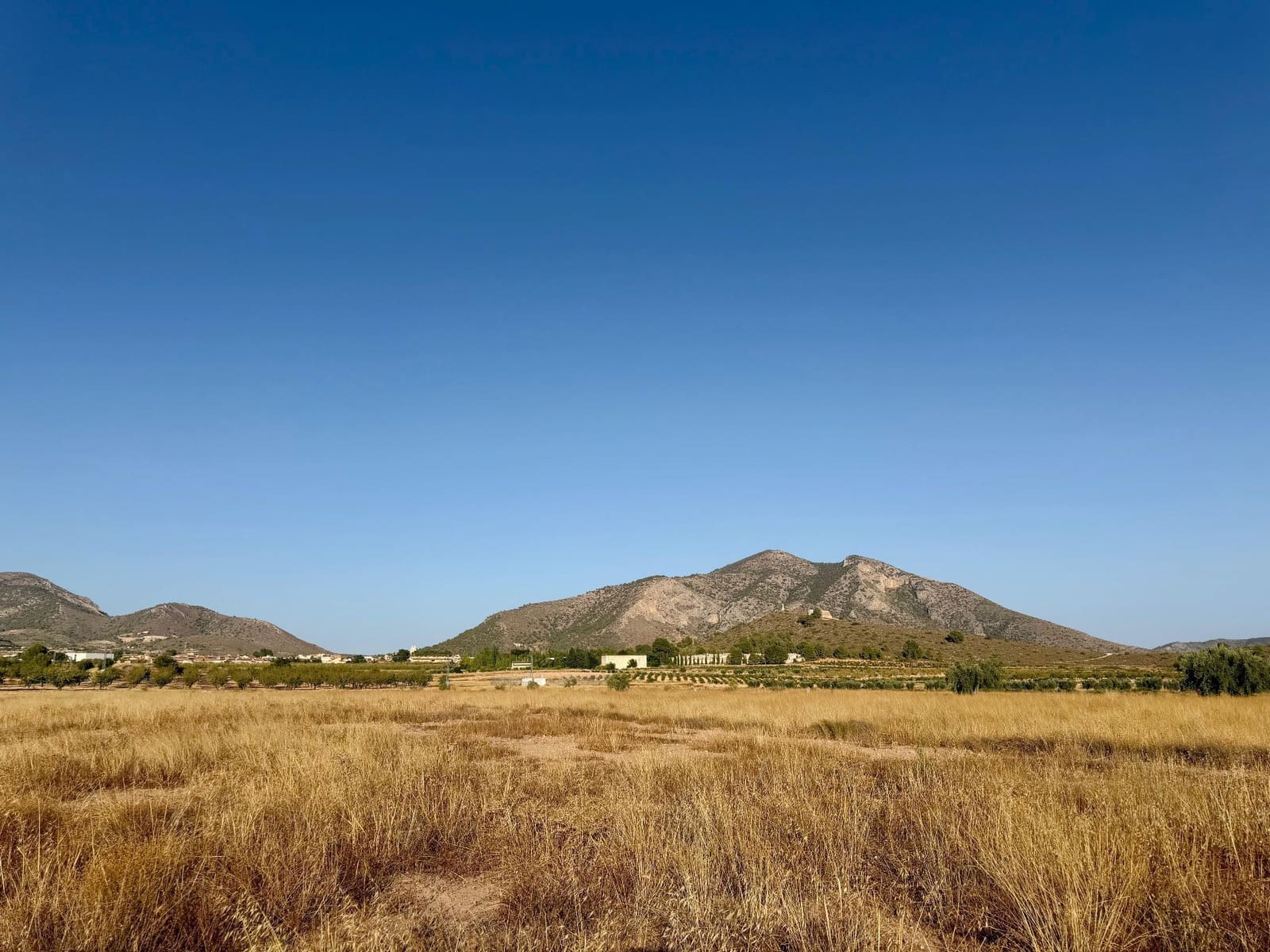 Finca/Landgut zu verkaufen in L'Alguena / Alguenya - 6.500 € (Ref: 10042468)