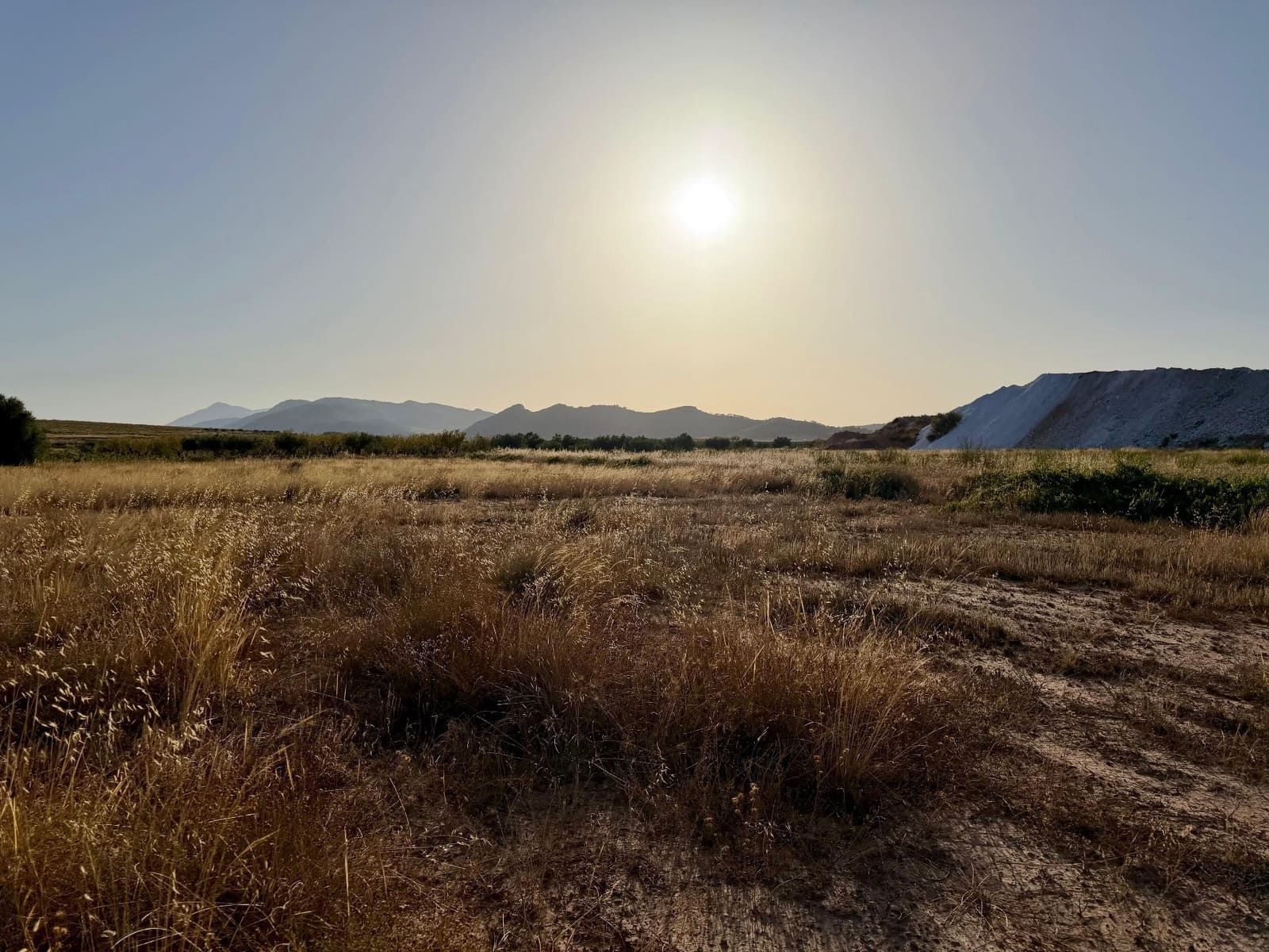 Finca/Landgut zu verkaufen in L'Alguena / Alguenya - 6.500 € (Ref: 10042468)