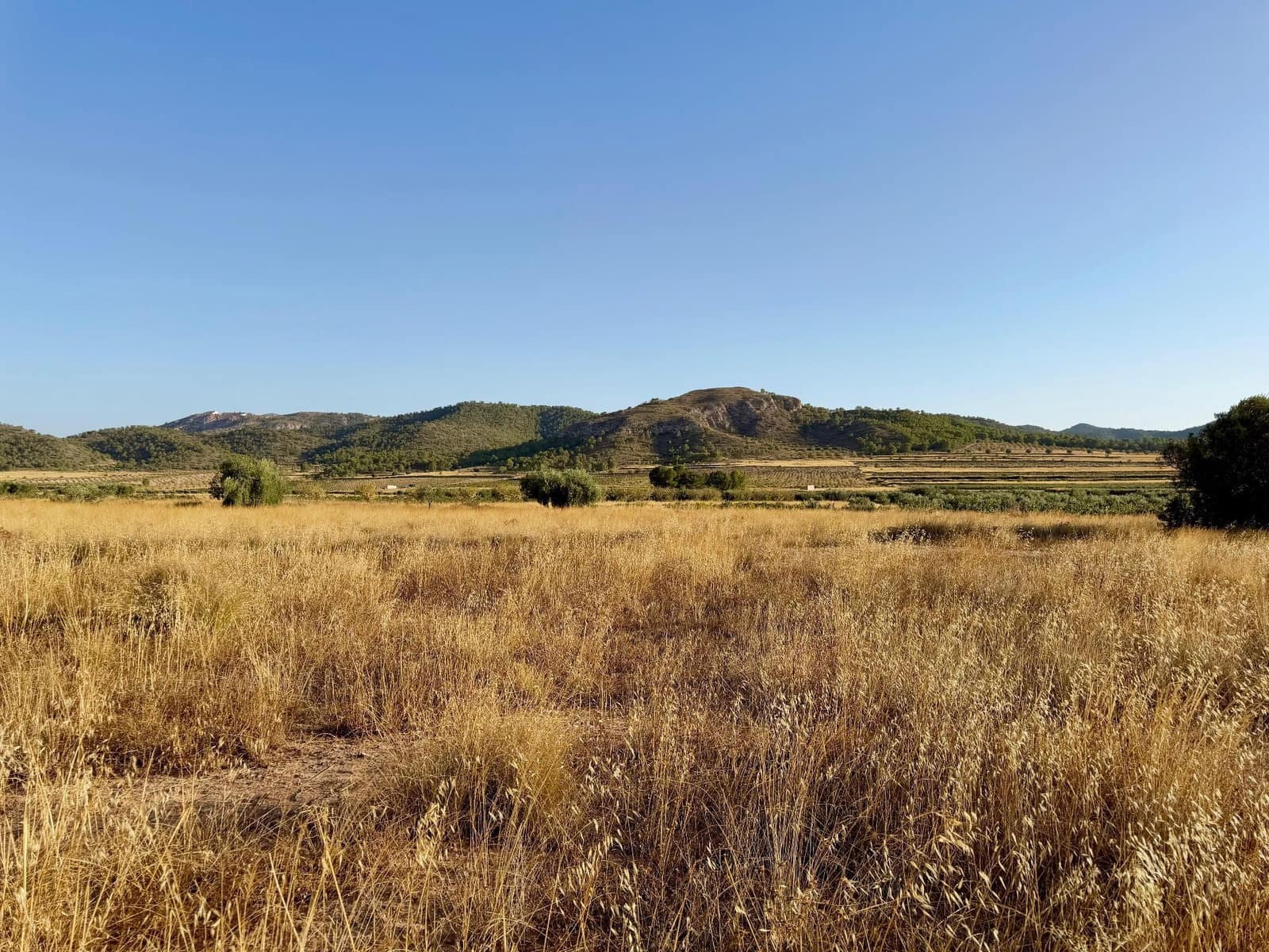 Finca/Landgut zu verkaufen in L'Alguena / Alguenya - 6.500 € (Ref: 10042468)