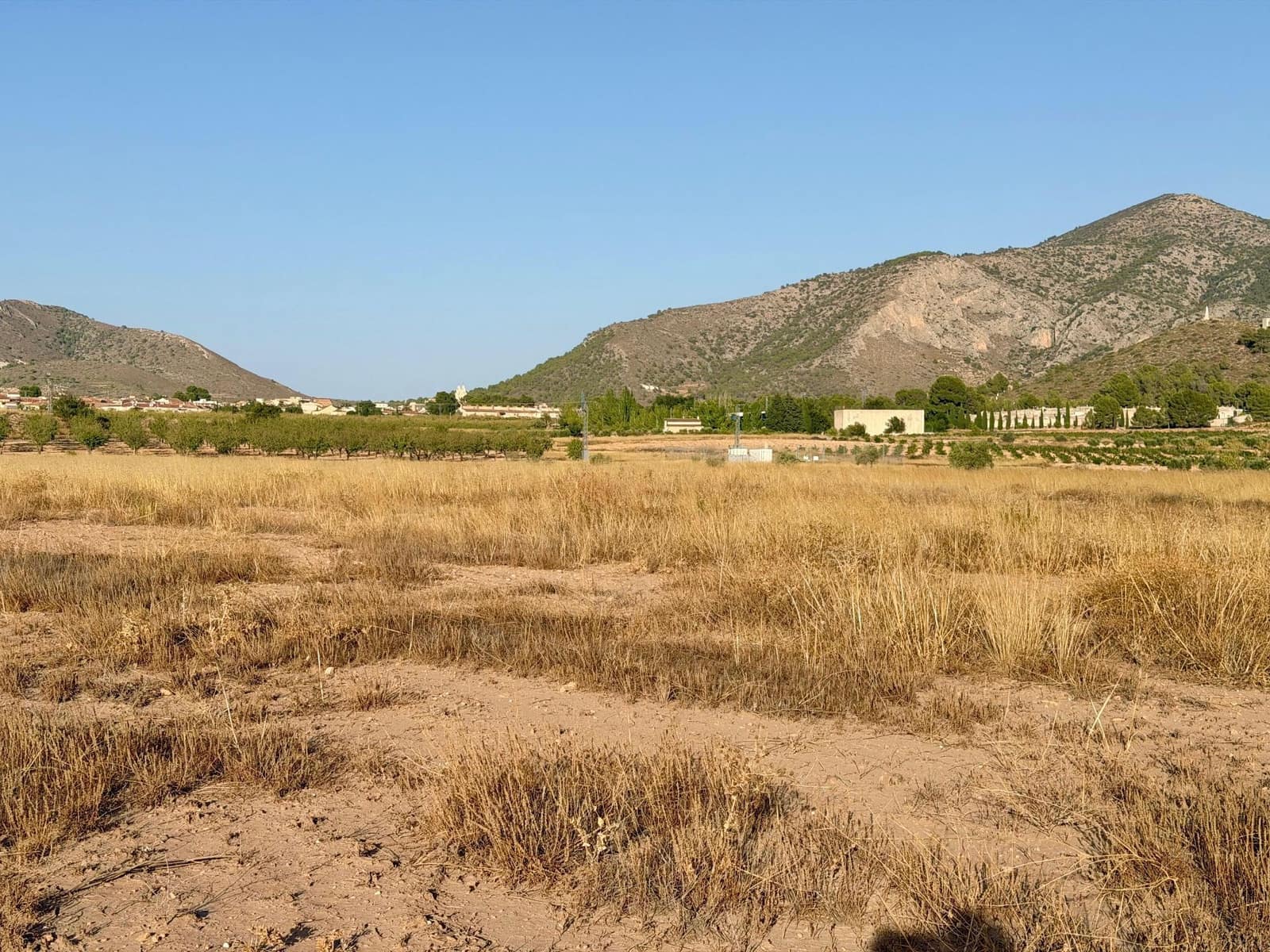 Finca/Landgut zu verkaufen in L'Alguena / Alguenya - 6.500 € (Ref: 10042468)