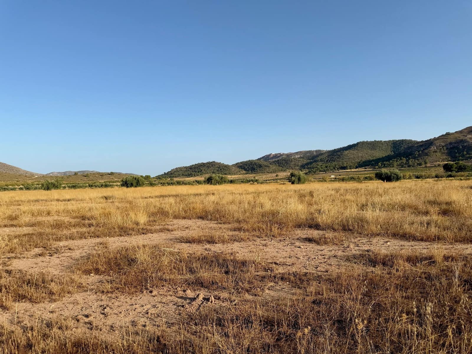Finca/Landgut zu verkaufen in L'Alguena / Alguenya - 6.500 € (Ref: 10042468)