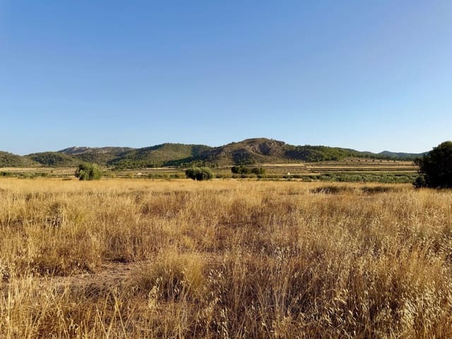 Finca/Herregård til salgs i L'Algueña / Alguenya - € 6 500 (Ref: 10042468)