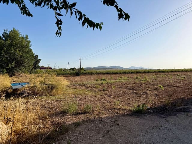 Finca/Hus på landet till salu i Pinoso - 23 900 € (Ref: 10042469)