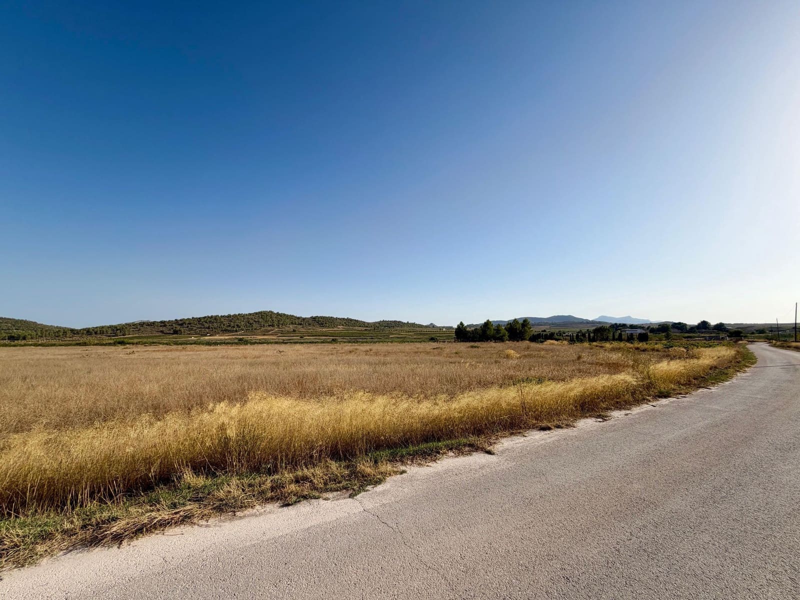 Finca/Country House for sale in Pinoso - € 42,900 (Ref: 10042470)