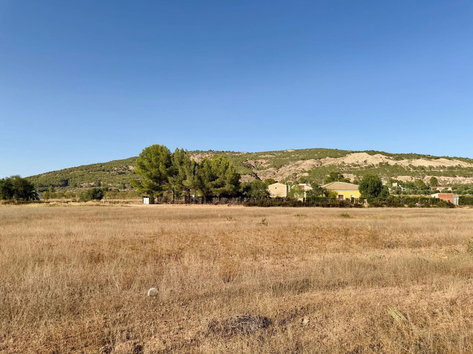 Finca/Country House for sale in Pinoso - € 42,900 (Ref: 10042470)