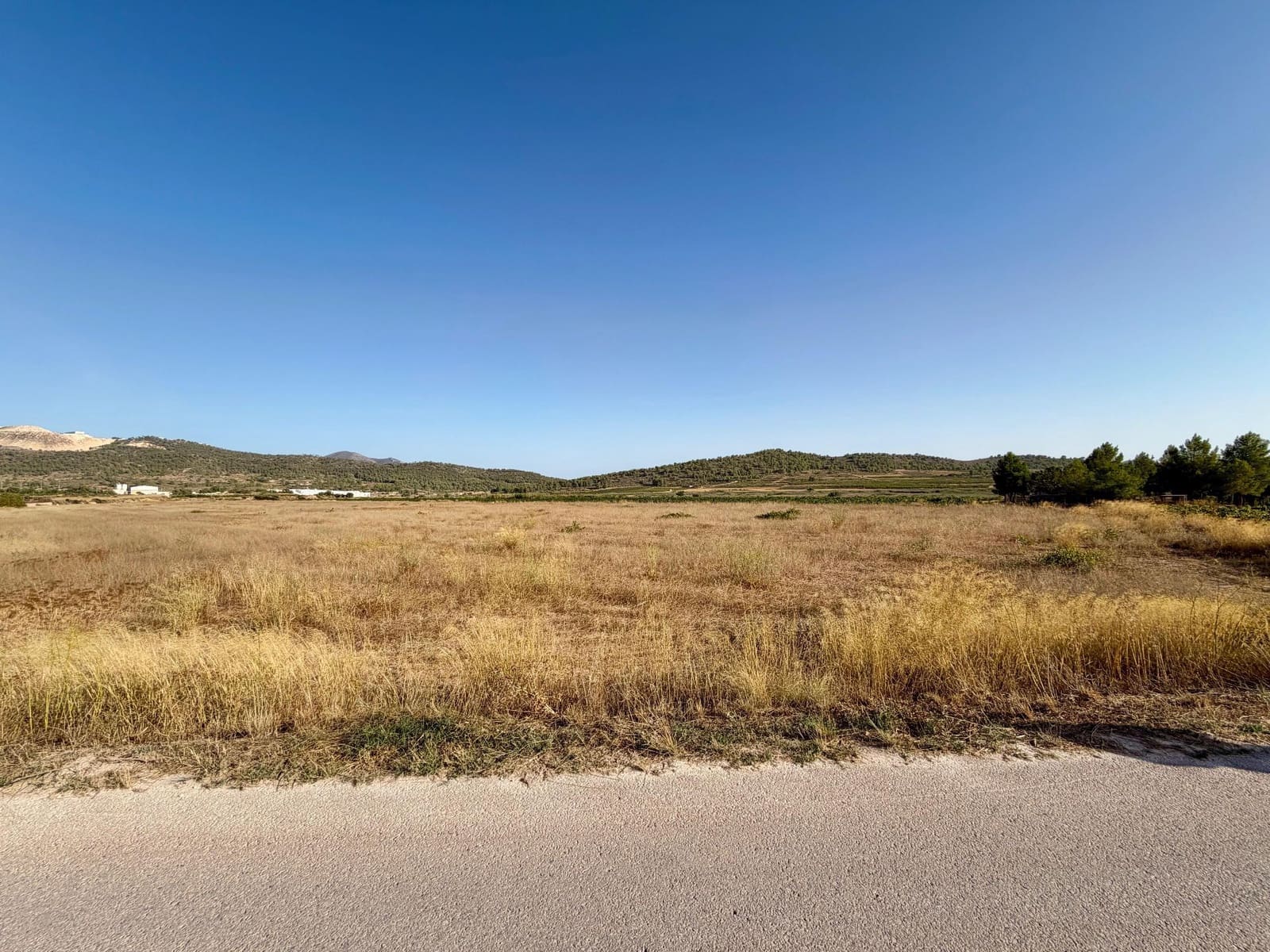 Finca/Country House for sale in Pinoso - € 42,900 (Ref: 10042470)