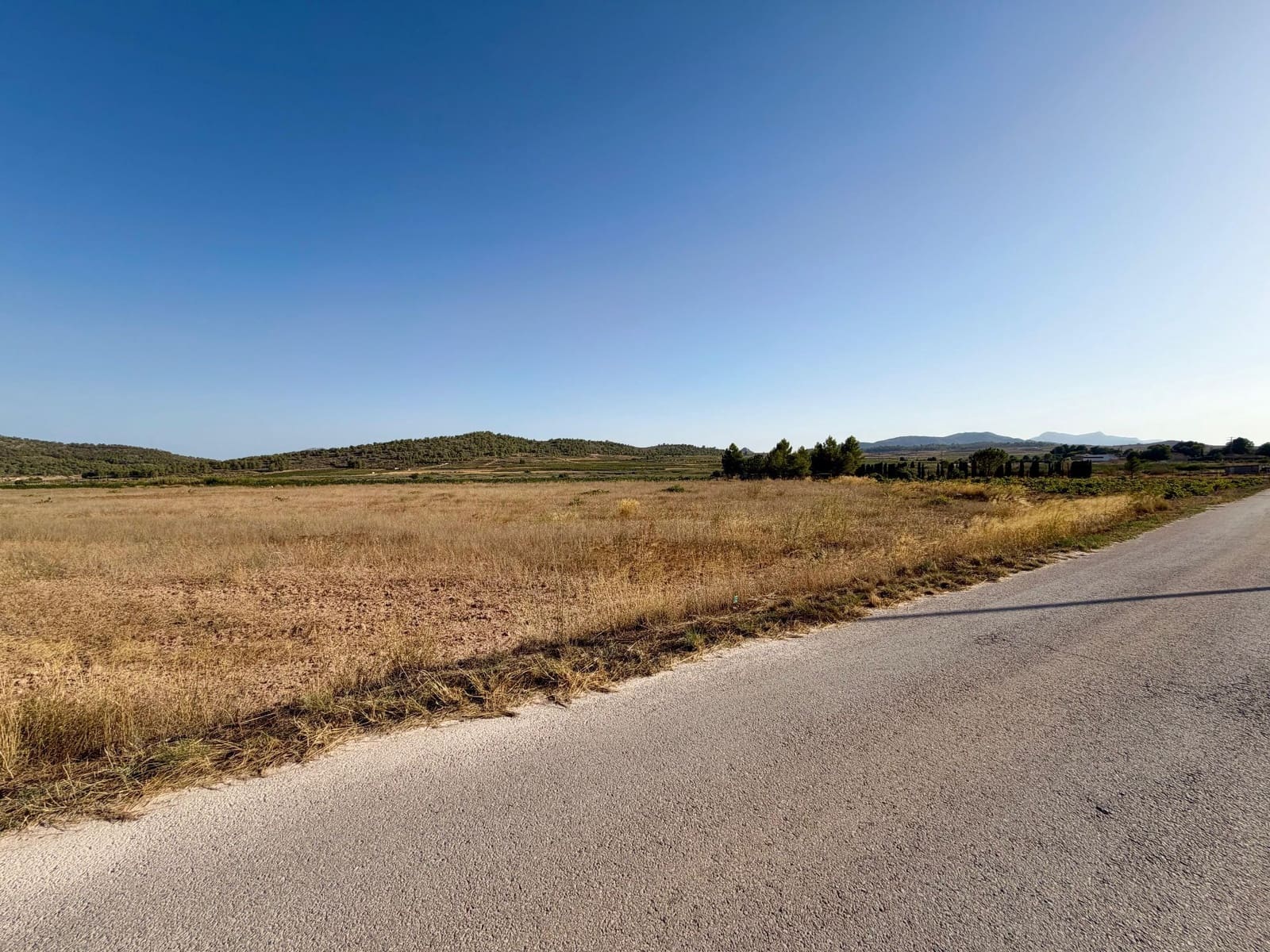 Finca/Country House for sale in Pinoso - € 42,900 (Ref: 10042470)