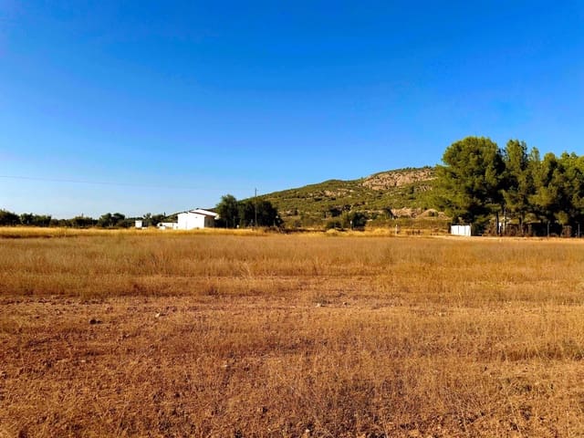Finca/Landgut zu verkaufen in Pinoso - 42.900 € (Ref: 10042470)